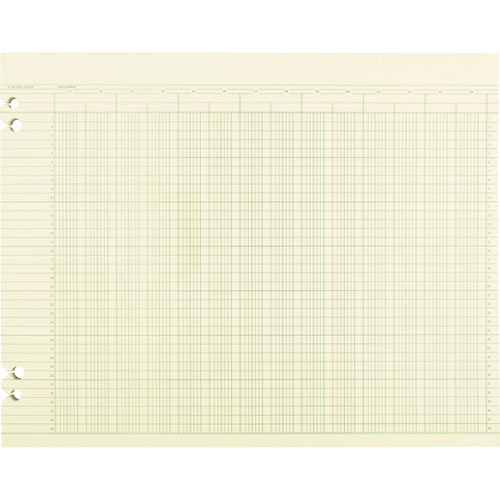 Accounting Sheets, 24 Columns, 11 x 14, Green, Loose Sheet, 100/Pack