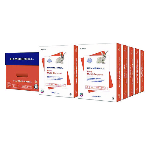 Multipurpose Copy Paper, 96 Bright, 24 lb Weight, 8.5 x 11, White, 500 Sheets/Ream, 10 Reams/Carton