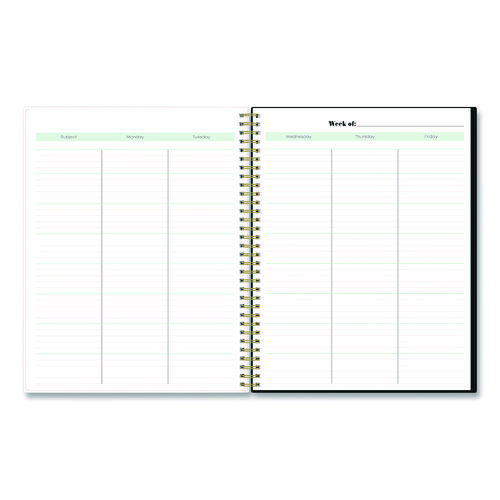 Dark Gray Gale Lesson Planner, Weekly: Up to Nine Periods per Day, Monthly: Two-Page Spreads, 11 x 8.5, Gray/Mint Green Cover