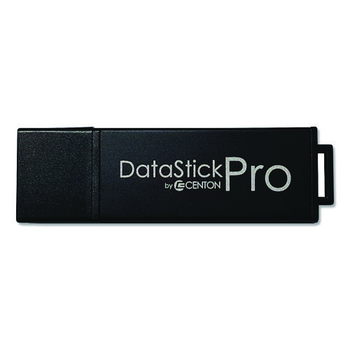 DataStick Pro USB 3.2 Type A Flash Drive, 256 GB, Black