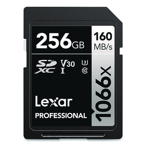 Professional SILVER Series SDXC Memory Card, UHS-I V30 U1 Class 10, 256 GB