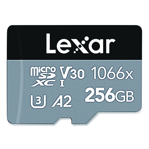 Professional SILVER Series microSDXC Memory Card, UHS-I, V30 Class 10, 256 GB