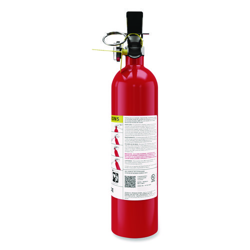 ProLine Dry-Chemical Commercial Fire Extinguisher, 1-A, 10-B:C