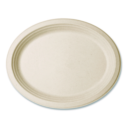 Nourish Molded Fiber Tableware, Compostable, Platter, Sugarcane, 8 x 10, White, 500/Carton