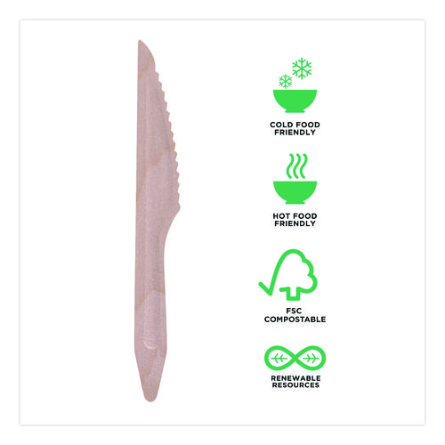 Wood Cutlery, General Purpose Knife, Natural, 500/Carton