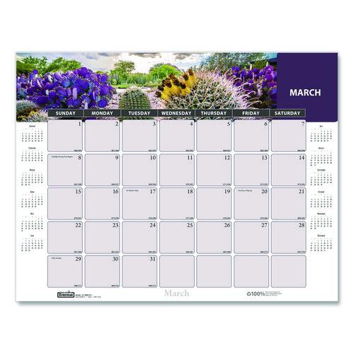 Recycled Succulent and Cacti Desk Pad Calendar, 17 x 22, Multicolor Sheets, Black Corners, 12-Month (Jan to Dec): 2026