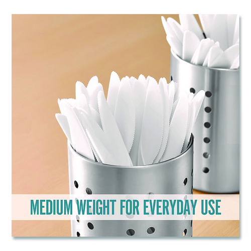 Eco-ID Compostable Cutlery, Mediumweight Knife, Plastic, White, 300/Pack