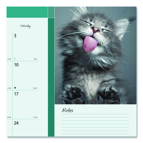 Pets Collection Monthly Desk Pad, Furry Kittens Photography, 22 x 17, White Sheets, Black Binding, 12-Month (Jan-Dec): 2025