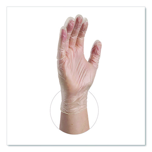Vinyl Exam Gloves, Powder-Free, Large, Clear, 100/Box
