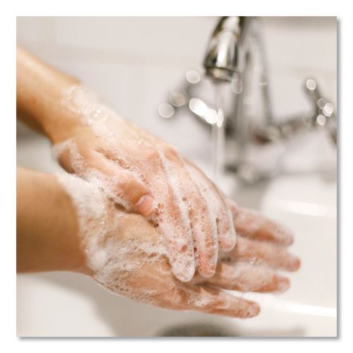 Antibacterial Foaming Hand Wash Refill, Plus Aloe, Original Scent, 1 gal, 4/Carton