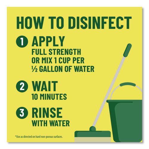 Multi-Surface Cleaner Disinfectant Concentrated, Pine Scent, 14 oz Bottle, 12/Carton