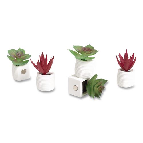 Mini Succulent Fashion Magnet Set, Assorted Colors/3 Designs, 12/Pack