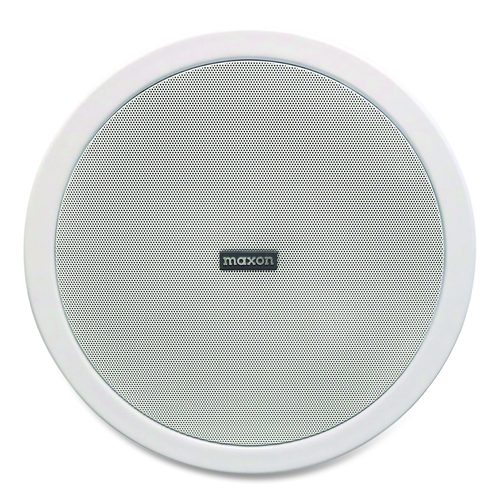 Ceiling Mount Wireless Loud Speaker, Gray