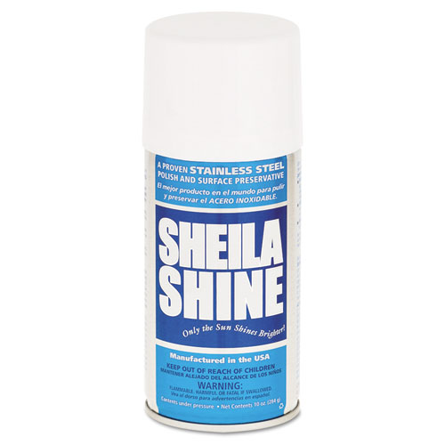Stainless Steel Cleaner and Polish, 10 oz Aerosol