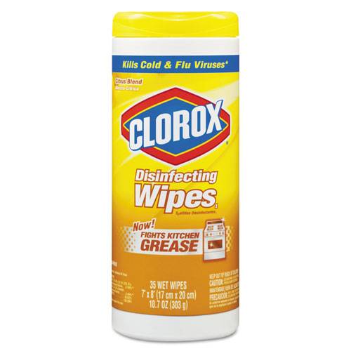 Clorox Floor Cleaner Msds Carpet Vidalondon