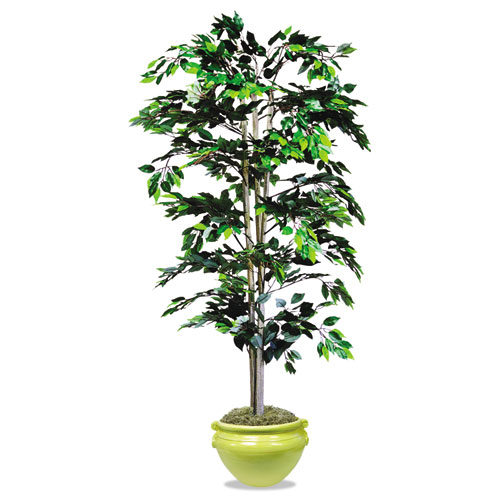 Image of Nudell™ Artificial Ficus Tree, 6 Ft Tall