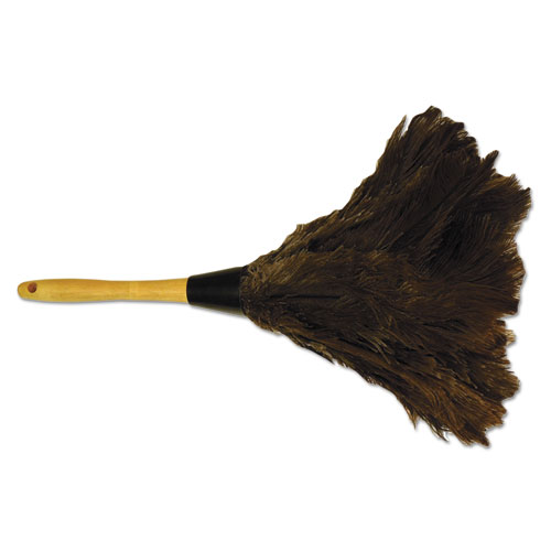 Professional Ostrich Feather Duster, Gray, 14, Wood Handle