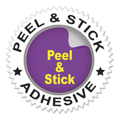 Image of Peel and Stick Photo Holders, 4.38 x 6.5, Clear, 10/Pack