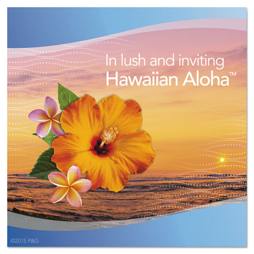Smallspaces, Hawaiian Aloha, 5.5 Ml Kit, 8/carton