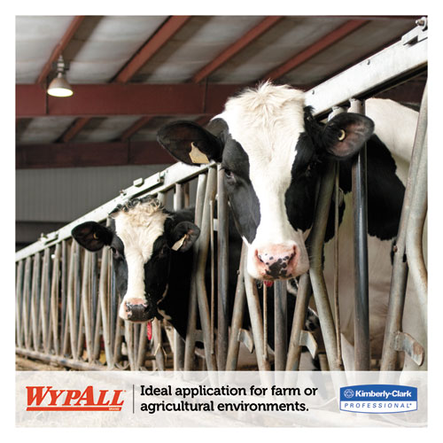 Image of Wypall® L10 Sani-Prep Dairy Towels, Banded, 2-Ply, 9.3 X 10.5, Unscented, White, 200/Pack, 12 Packs/Carton