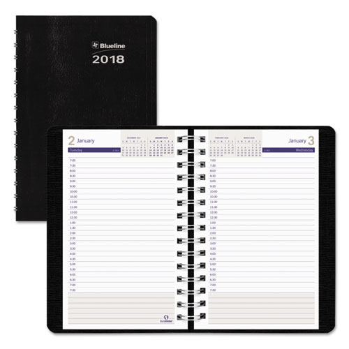 Blueline® DuraGlobe Daily Planner Ruled For 30-Minute Appointments, 8 x 5, Black, 2018