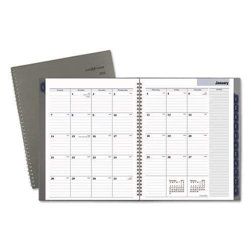 AT-A-GLANCE® DayMinder® Traditional Monthly Planner, 8 1/2 x 11, Gray, 2018
