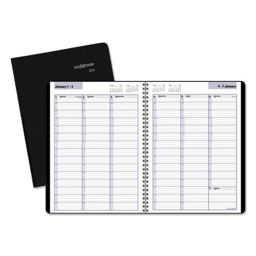 AT-A-GLANCE® DayMinder® Weekly Appointment Book, 8 x 11, Black, 2018