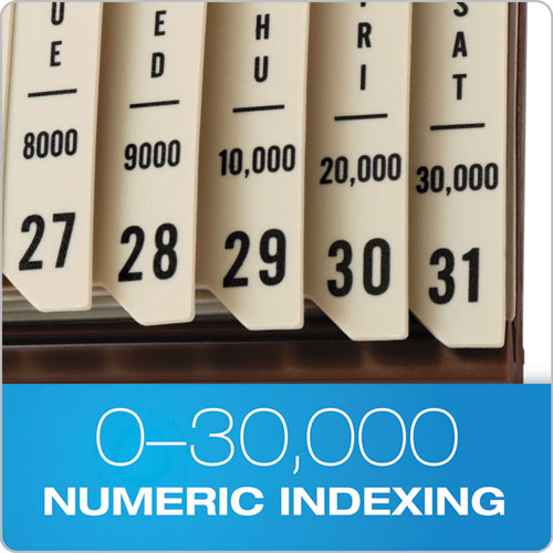 Image of General Purpose Indexed Sorter, 31 Dividers, Alpha/Numeric/Month/Date/Day Index, Letter Size, Brown Frame