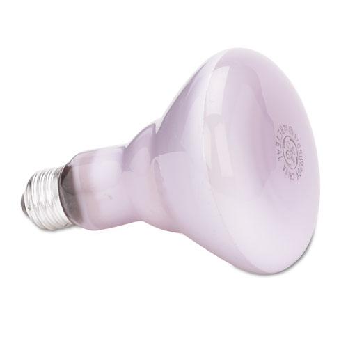 Incandescent Reveal BR30 Light Bulb, 65 W | by Plexsupply