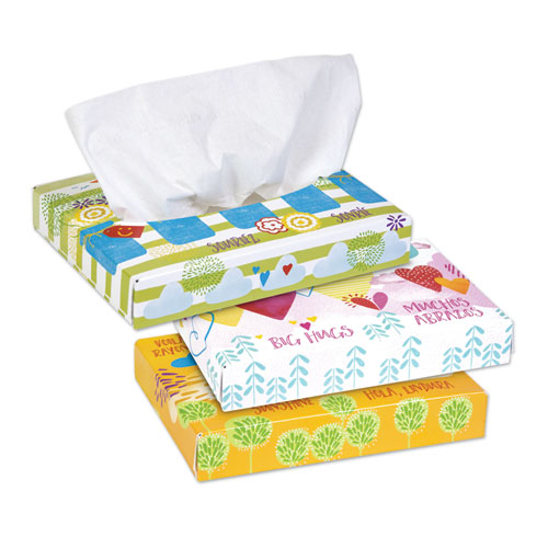White Facial Tissue Junior Pack, 2-Ply, 48 Sheets/Box, 64 Boxes/Carton
