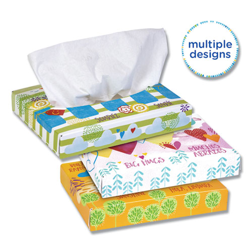 Image of White Facial Tissue Junior Pack, 2-Ply, 40 Sheets/Box, 80 Boxes/Carton