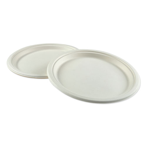Bagasse Dinnerware, Plate, 10" dia, White, 500/Carton