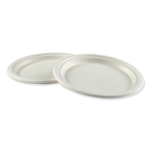 Bagasse Dinnerware, Plate, 9" dia, White, 500/Carton