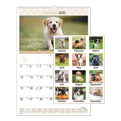 Puppies Monthly Wall Calendar, 15 1/2 x 22 3/4, 2020 | by Plexsupply