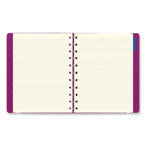 Soft Touch 17-Month Planner, 10.88 x 8.5, Fuchsia Cover, 17-Month (Aug to Dec): 2023 to 2024