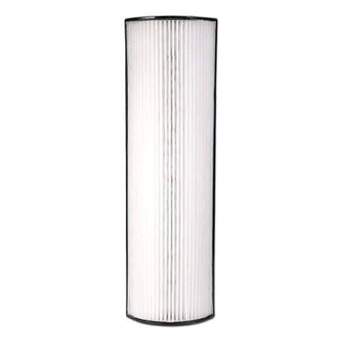 Therapure Replacement Filter for Therapure 640, 5.25 x 2.75
