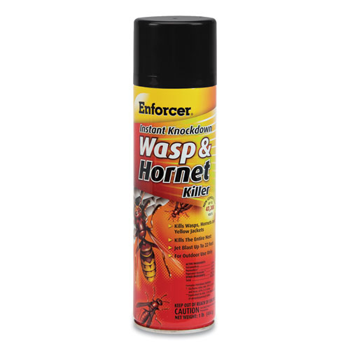 Enforcer® Wasp and Hornet Killer, 16 oz Aerosol Spray