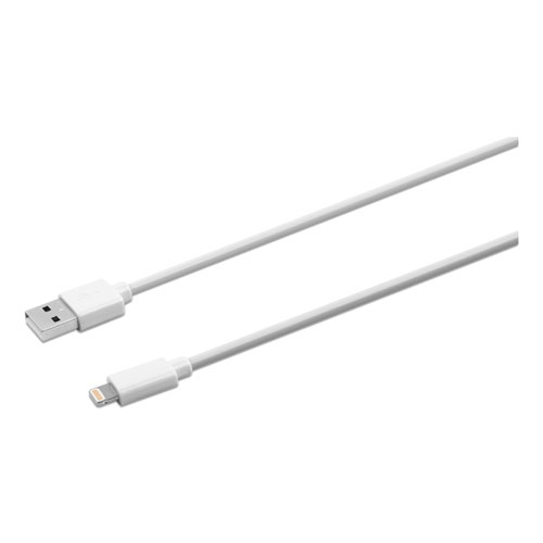 USB Apple Lightning Cable, 10 ft, White