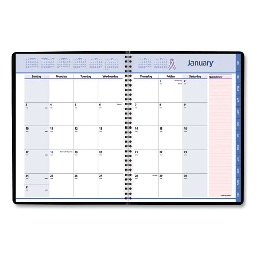 Image of At-A-Glance® Quicknotes Special Edition Monthly Planner, 11 X 8.25, Black/Pink Cover, 12-Month (Jan To Dec): 2024