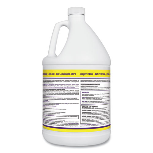 Image of Clean Finish Disinfectant Cleaner, 1 gal Bottle, Herbal