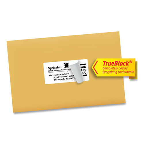 Image of Avery® Shipping Labels W/ Trueblock Technology, Inkjet Printers, 2 X 4, White, 10/Sheet, 10 Sheets/Pack