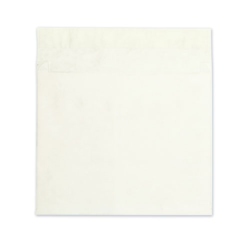 Tyvek® Envelopes, 12 x 15 1/2, End Opening, Plain White, Pack Of 100