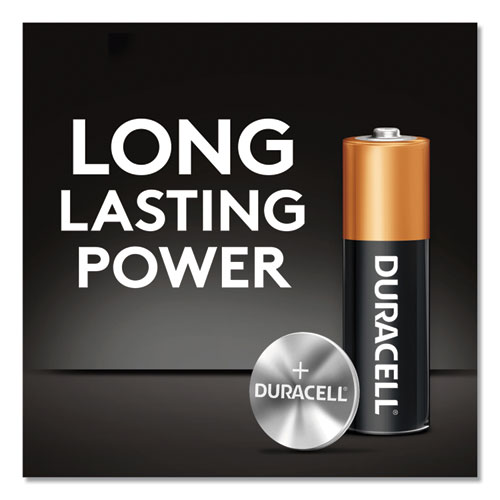 Image of Power Boost CopperTop Alkaline AAA Batteries, 24/Box