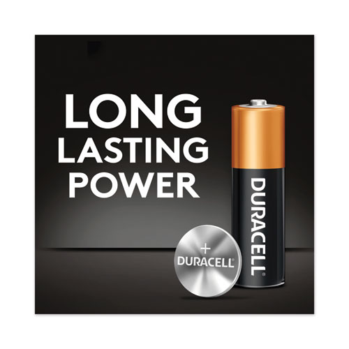 Image of Power Boost CopperTop Alkaline AA Batteries, 16/Pack