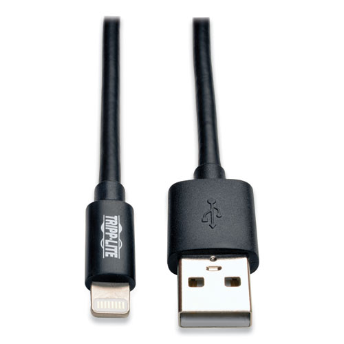 Lightning to USB Cable, 10 ft, Black
