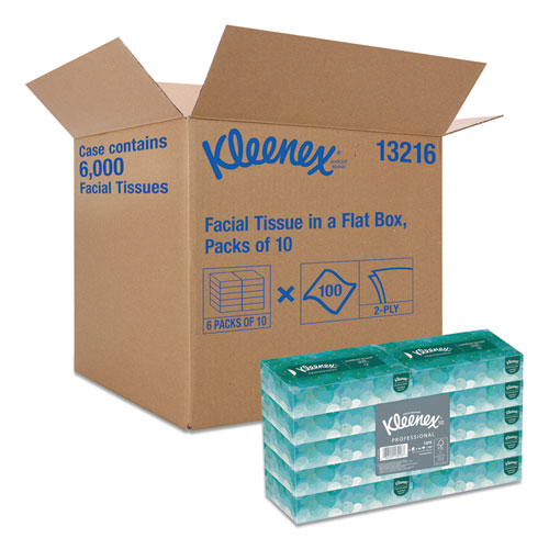 White Facial Tissue for Business, 2-Ply, White, 100 Sheets/Box, 10 Boxes/Bundle, 6 Bundles/Carton