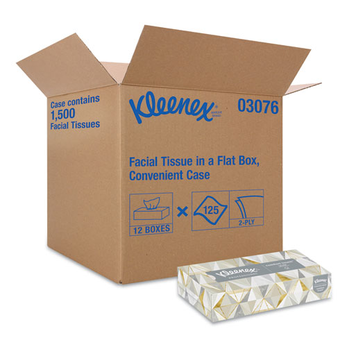 Image of White Facial Tissue for Business, 2-Ply, 125 Sheets/Box, 12 Boxes/Carton