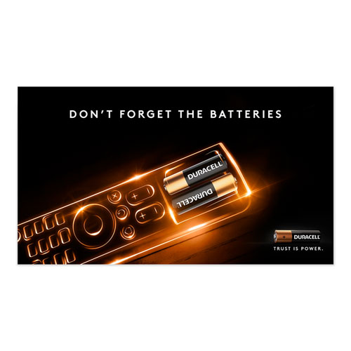Image of Power Boost CopperTop Alkaline AA Batteries, 24/Box