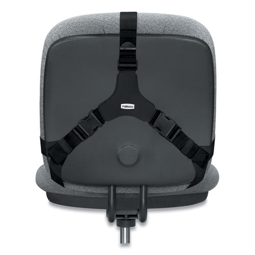 Image of Fellowes® Professional Series Back Support With Microban Protection, 15 X 2 X 14.5, Black