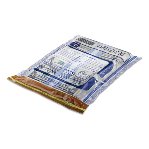 TripLOK Series A Tamper-Evident Bags, 9 x 12, Clear, 100/Pack